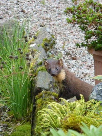 Bed and Breakfast Dunchraigaig House Kilmartin Esterno foto
